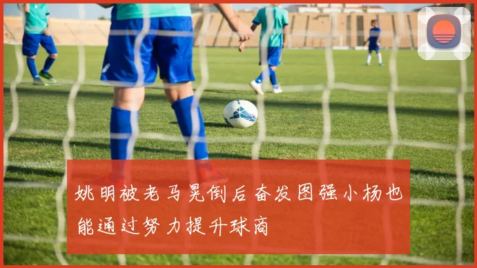 姚明被老马晃倒后奋发图强小杨也能通过努力提升球商