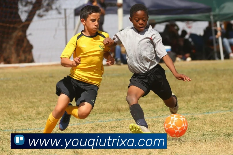 有球体育发展历程